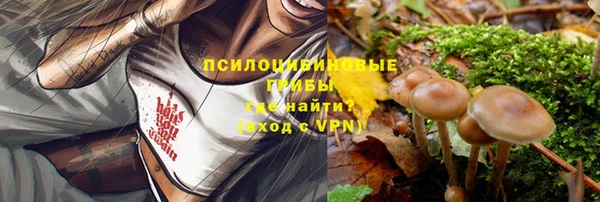соль ск Нея