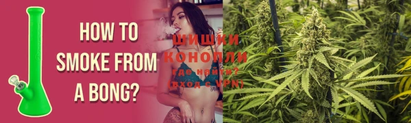 шишки Наволоки