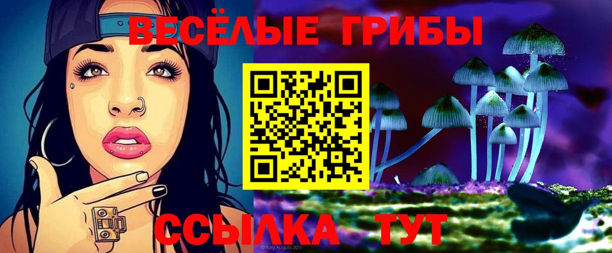 Галлюциногенные грибы мухоморы Амурск