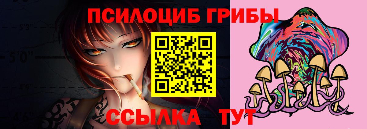 Псилоцибиновые грибы Cubensis Амурск